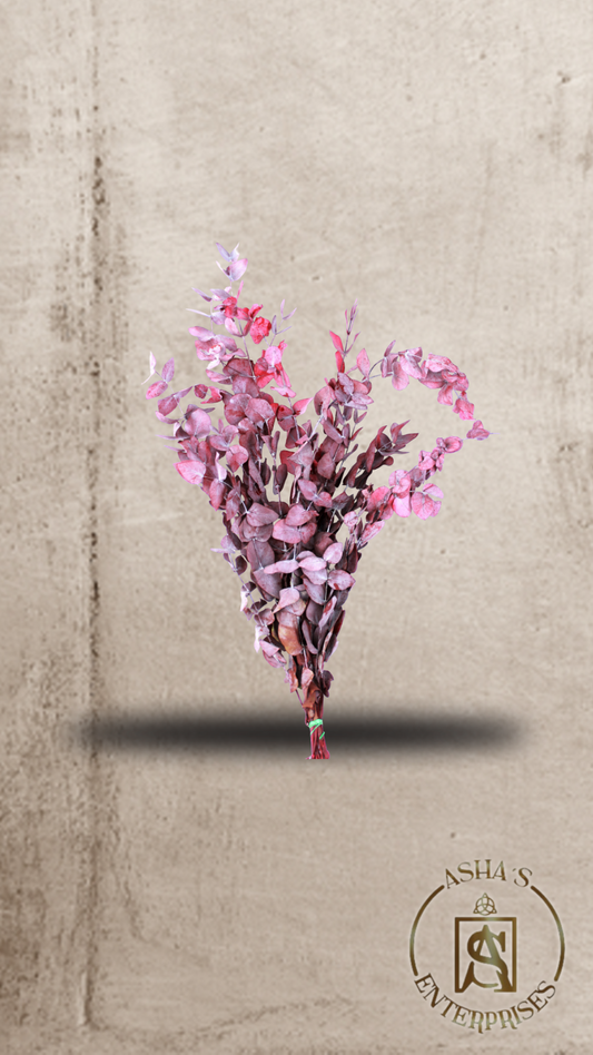 Flores inmortalizadas Eucalipto: Verde y Rojo