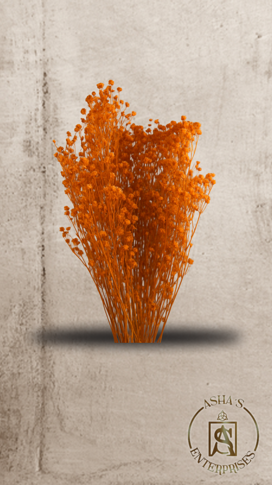 Flores inmortalizadas Pluma Príncipe