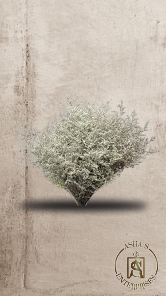 Flores inmortalizadas Caspia