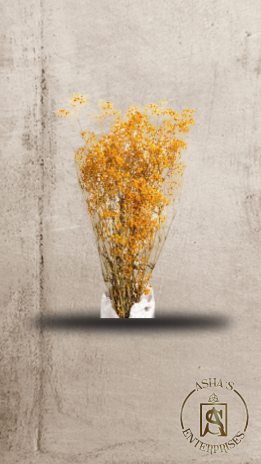 Flores inmortalizadas Gypsophila