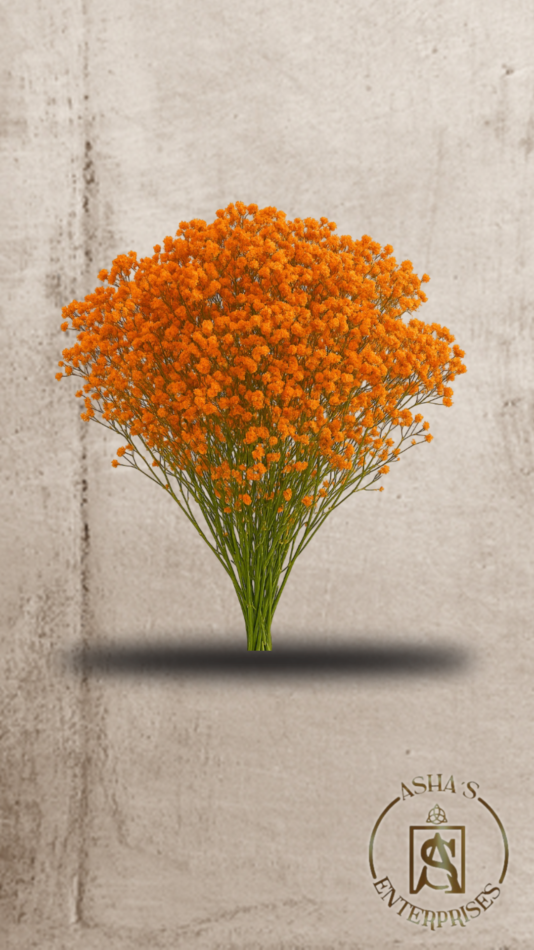 Flores inmortalizadas Super Lady