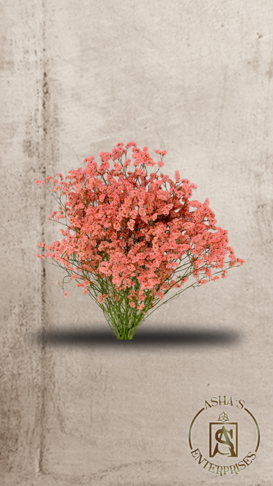 Flores inmortalizadas Super Lady