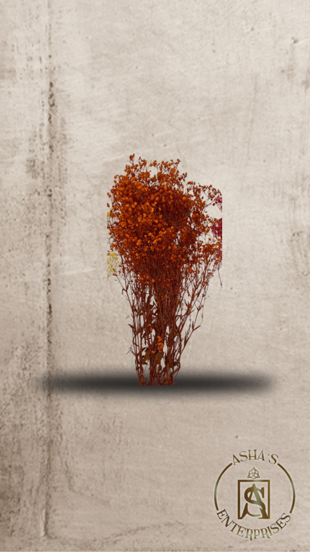 Flores inmortalizadas Siempreviva