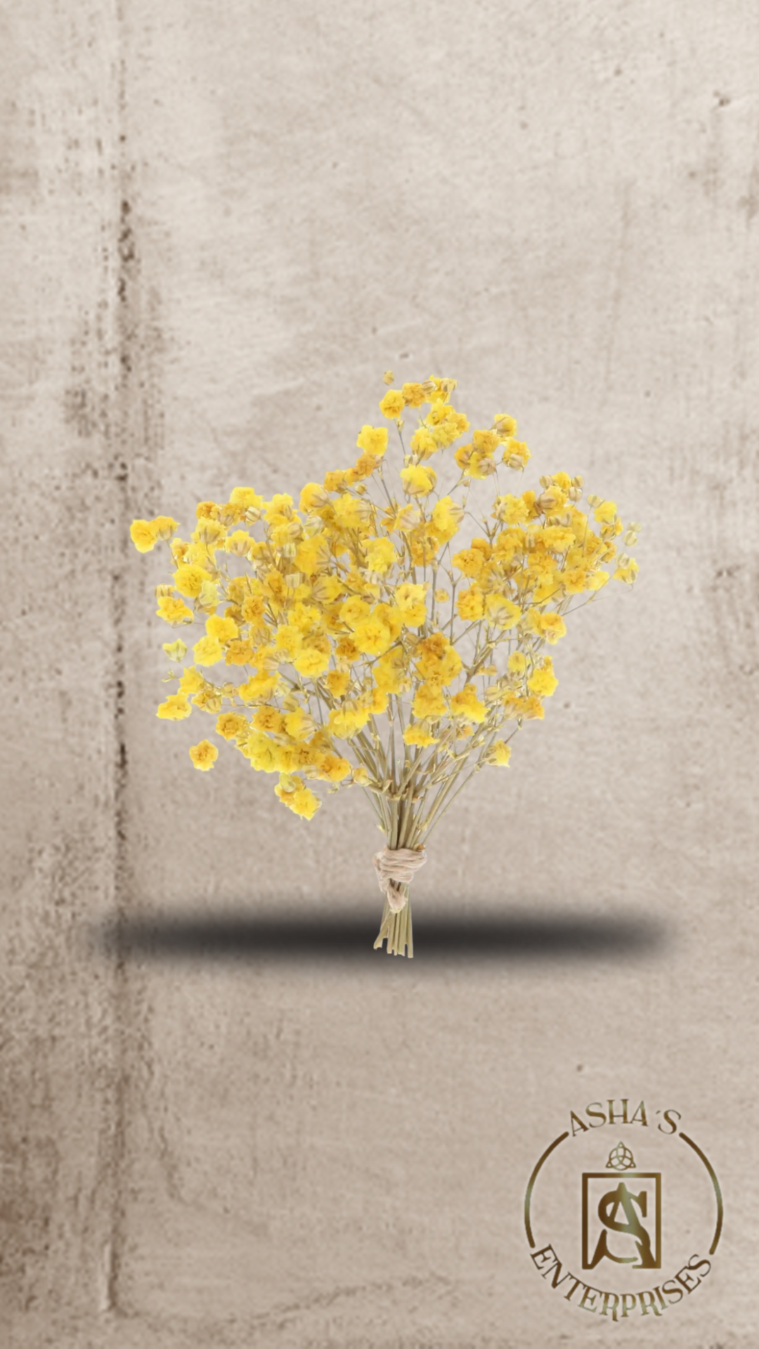 Flores inmortalizadas Gypsophila