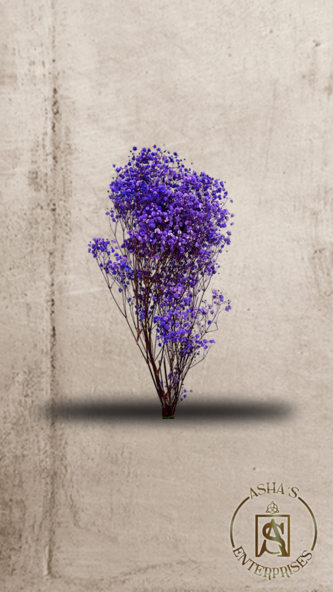 Flores inmortalizadas Gypsophila