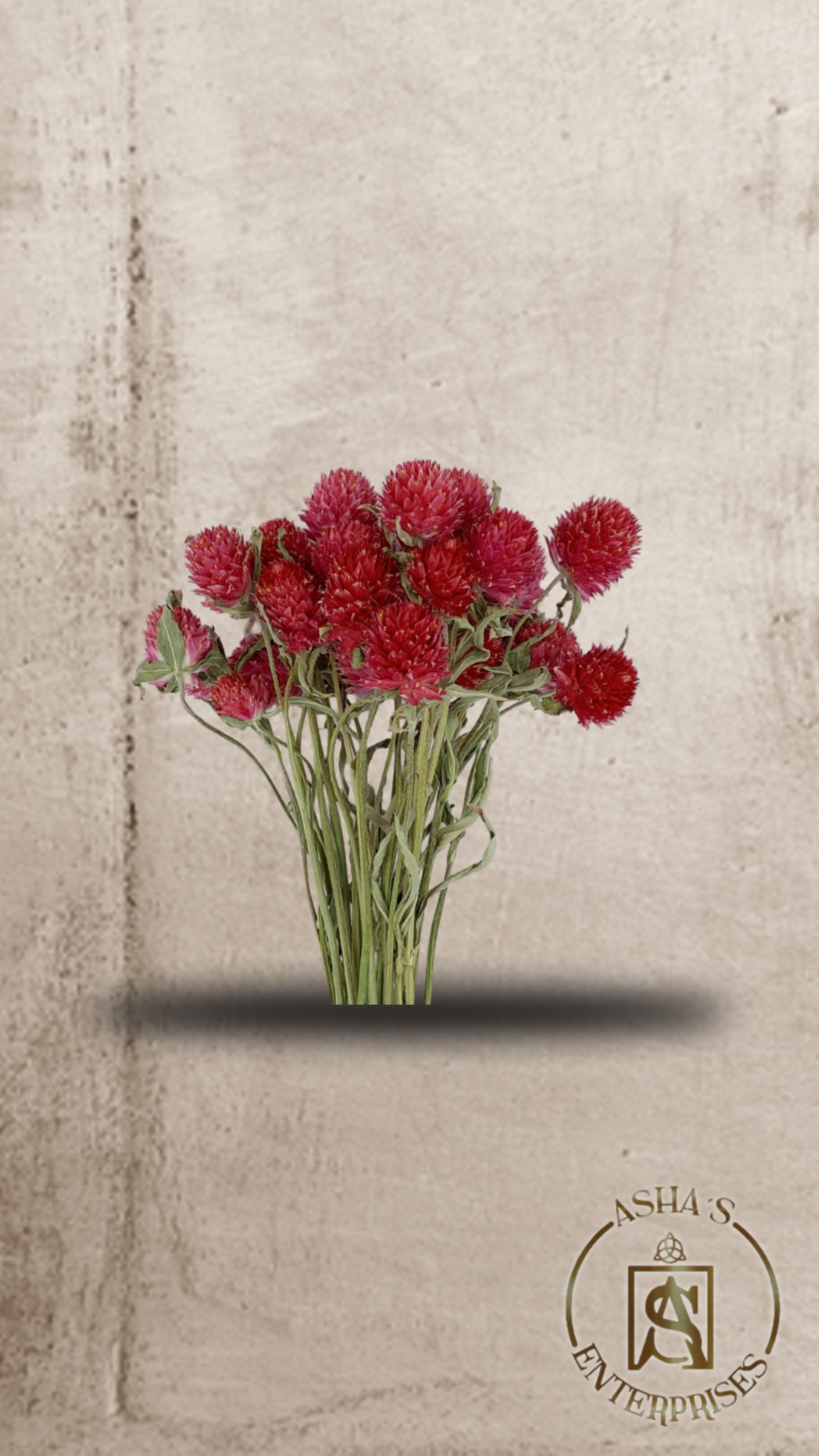 Flores inmortalizadas Siempreviva