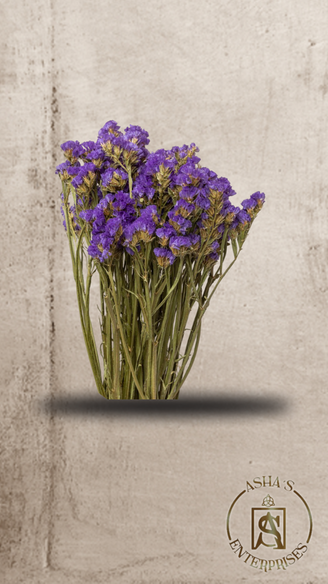 Flores inmortalizadas Siempreviva
