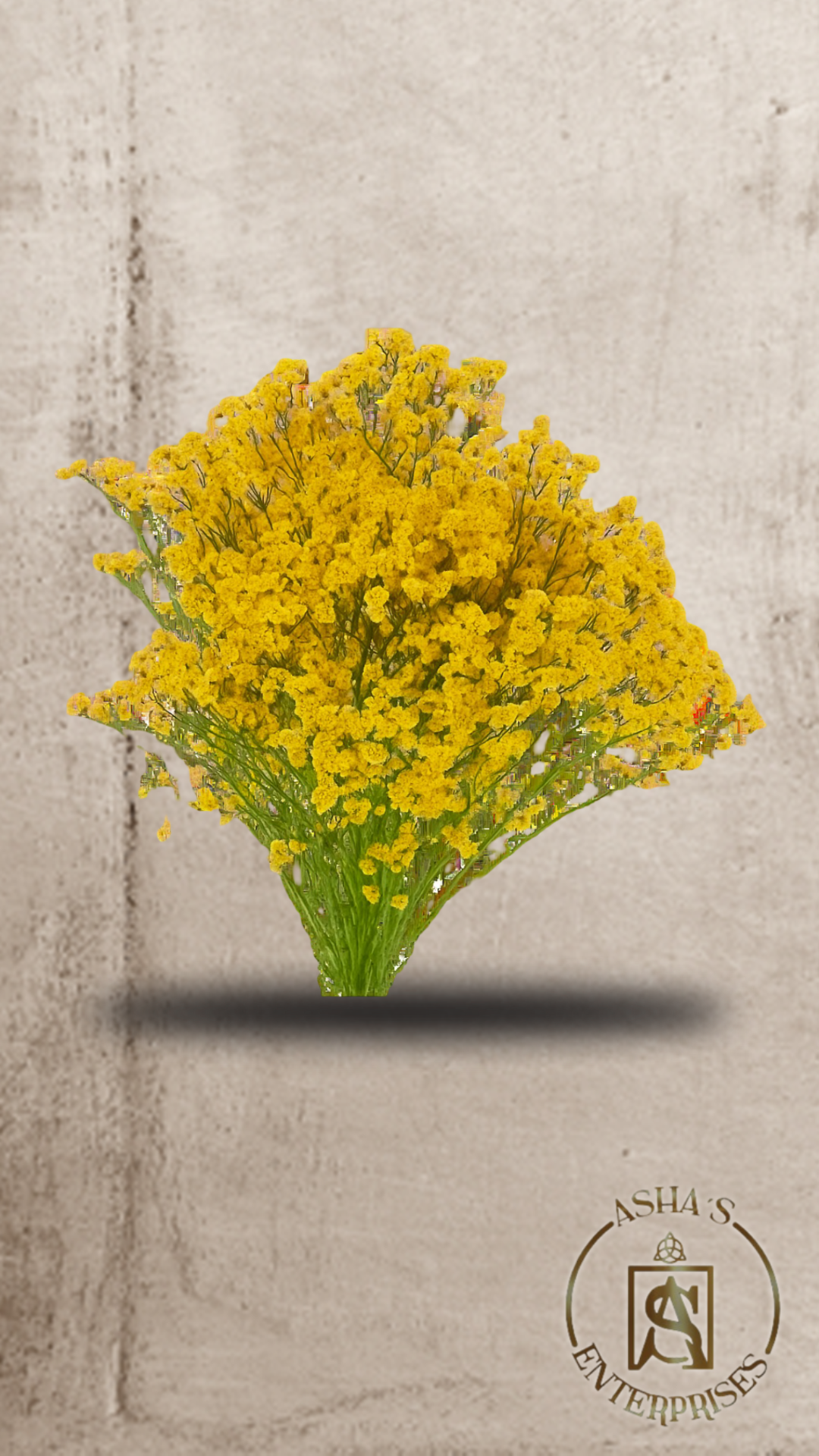 Flores inmortalizadas Super Lady