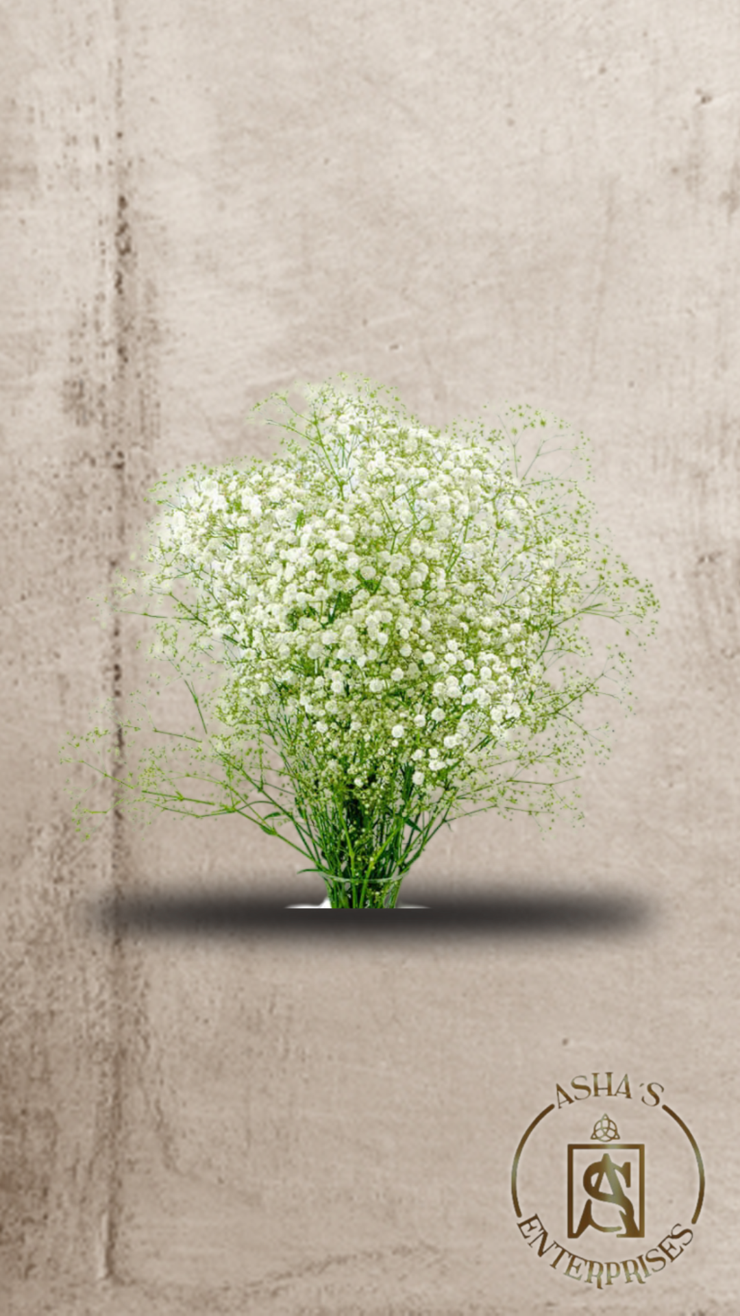 Flores inmortalizadas Gypsophila