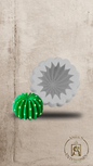 Molde de silicona cactus redondo